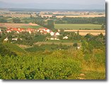 Mettenheim